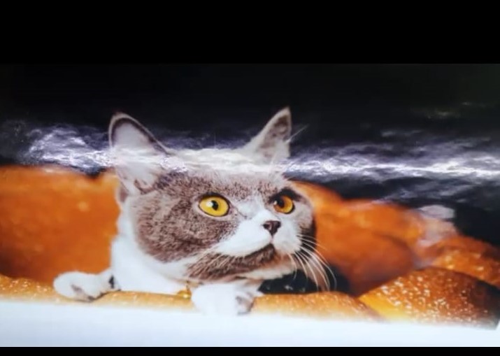 impressão 1.impressão digital, adesivo impresso, zona sul impressão, adesivo impresso sp, adesivos, adesivo personlizado, impressão lona, impressão banner, impressao adesivo vinil, presso da impressão digital, impressão adesivo fosco, impressão adesivo brilho, impressão adesivo transparente, impressão papel, impressão tela quadro, impressão zona sul sp, impressão digital marvel, adesivo ano piece, adesivo marvel, adesivo homen de ferro, adesivo festas, adesivo aniversario, adesivo para criaça, adesiv quarto bebe